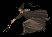 witchbroomstick.jpg